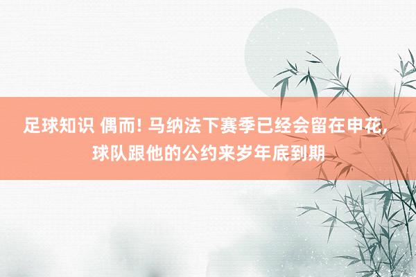 足球知识 偶而! 马纳法下赛季已经会留在申花, 球队跟他的公约来岁年底到期