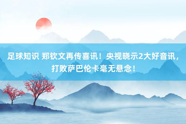 足球知识 郑钦文再传喜讯！央视晓示2大好音讯，打败萨巴伦卡毫无悬念！