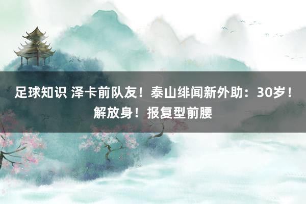 足球知识 泽卡前队友！泰山绯闻新外助：30岁！解放身！报复型前腰