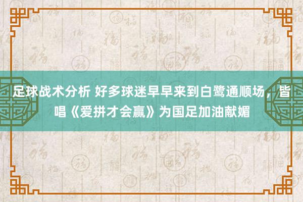 足球战术分析 好多球迷早早来到白鹭通顺场，皆唱《爱拼才会赢》为国足加油献媚