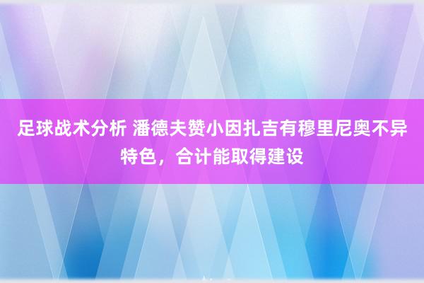 足球战术分析 潘德夫赞小因扎吉有穆里尼奥不异特色，合计能取得建设