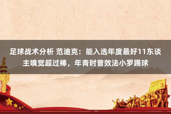 足球战术分析 范迪克：能入选年度最好11东谈主嗅觉超过棒，年青时曾效法小罗踢球