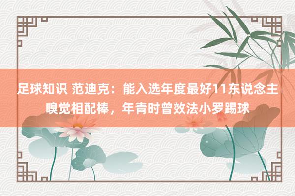 足球知识 范迪克：能入选年度最好11东说念主嗅觉相配棒，年青时曾效法小罗踢球