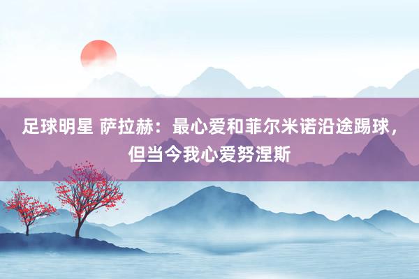 足球明星 萨拉赫：最心爱和菲尔米诺沿途踢球，但当今我心爱努涅斯