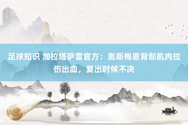 足球知识 加拉塔萨雷官方：奥斯梅恩背部肌肉拉伤出血，复出时候不决