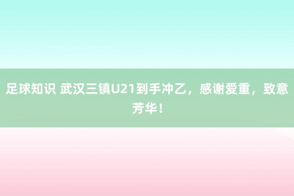 足球知识 武汉三镇U21到手冲乙，感谢爱重，致意芳华！