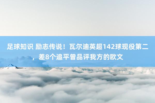 足球知识 励志传说！瓦尔迪英超142球现役第二，差8个追平曾品评我方的欧文