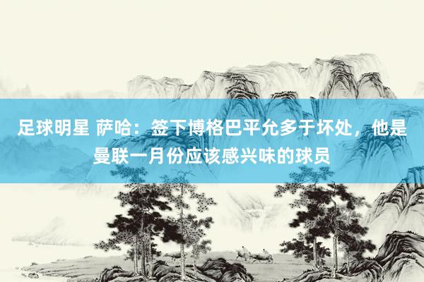 足球明星 萨哈：签下博格巴平允多于坏处，他是曼联一月份应该感兴味的球员