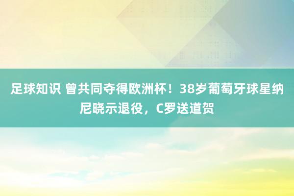 足球知识 曾共同夺得欧洲杯！38岁葡萄牙球星纳尼晓示退役，C罗送道贺