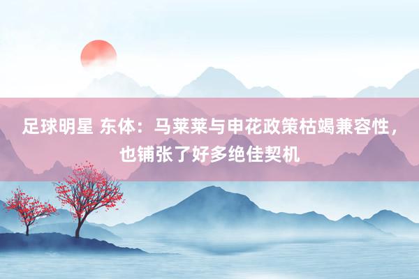 足球明星 东体：马莱莱与申花政策枯竭兼容性，也铺张了好多绝佳契机