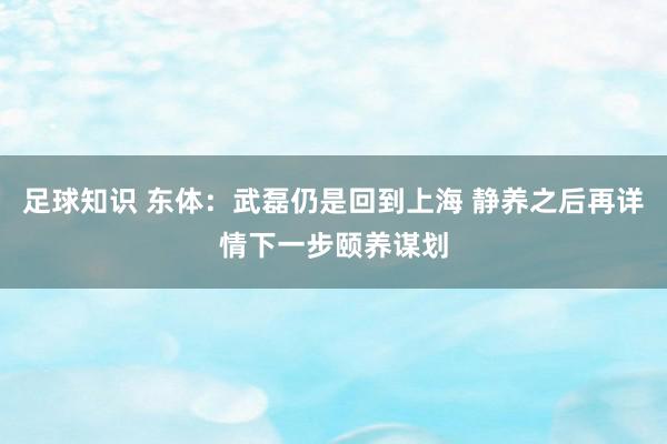 足球知识 东体：武磊仍是回到上海 静养之后再详情下一步颐养谋划