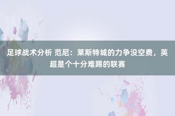 足球战术分析 范尼：莱斯特城的力争没空费，英超是个十分难踢的联赛