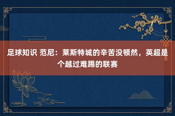 足球知识 范尼：莱斯特城的辛苦没顿然，英超是个越过难踢的联赛