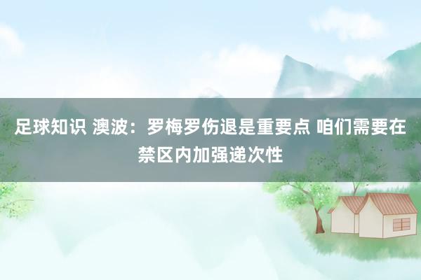 足球知识 澳波：罗梅罗伤退是重要点 咱们需要在禁区内加强递次性