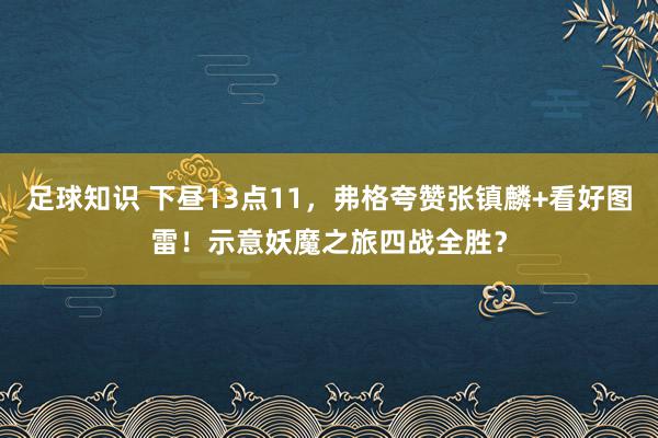 足球知识 下昼13点11，弗格夸赞张镇麟+看好图雷！示意妖魔之旅四战全胜？