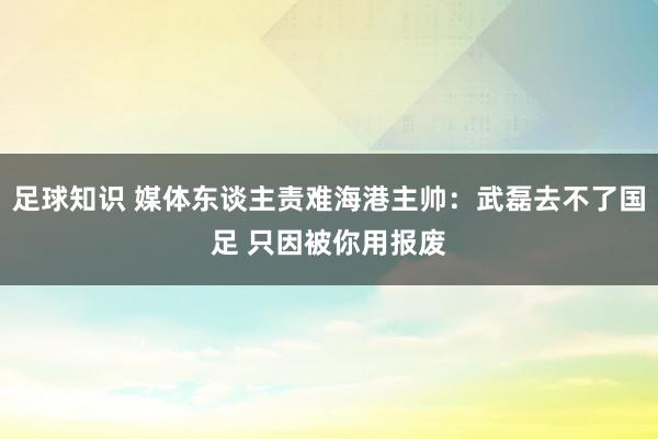 足球知识 媒体东谈主责难海港主帅：武磊去不了国足 只因被你用报废